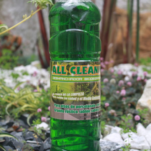Detergente biodegradable induservin All cleaning