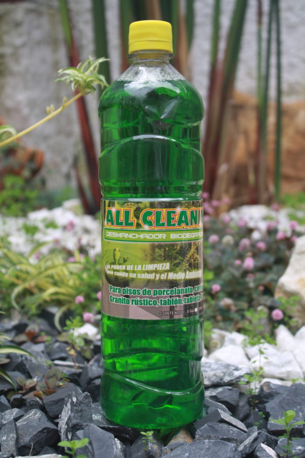 Detergente biodegradable induservin All cleaning